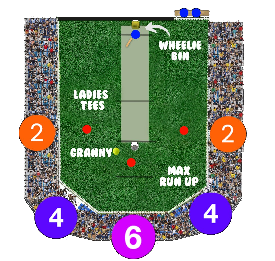 Aerial view of the Backyardie stadium